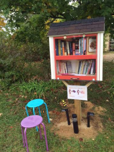 Indian Lake's Little Free Library
